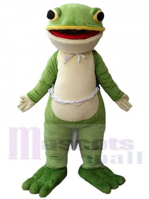 Frog mascot costume