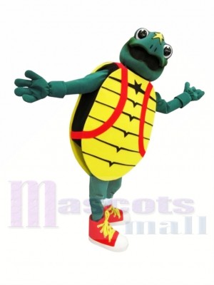 Childrens Hosp Turtle Mascot Costumes 