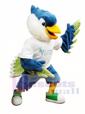 Royal Blue Head Bird Mascot Costumes
