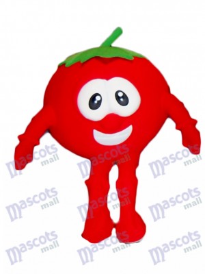 Bob the Tomato Mascot Costume from VeggieTales