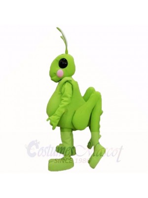 Grasshopper Mascot Costumes Cartoon