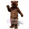 Brown Bear Mascot Costume