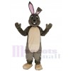 Easter Bunny mascot costume