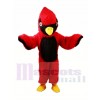 Cardinal Lightweight Mascot Costumes