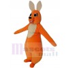 Kangaroo mascot costume