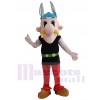 Asterix Obelix mascot costume