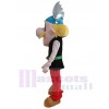 Asterix Obelix mascot costume