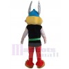 Asterix Obelix mascot costume