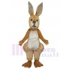 Kangaroo mascot costume