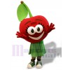 Cherry mascot costume