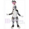 Easter Bunny Rabbit mascot costume