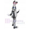 Easter Bunny Rabbit mascot costume