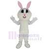 Easter Bunny mascot costume