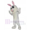 Easter Bunny mascot costume