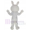 Easter Bunny mascot costume