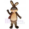 Easter Bunny mascot costume