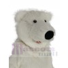 Polar Bear mascot costume