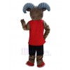 Ram mascot costume