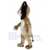 Lion mascot costume