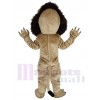 Lion mascot costume