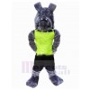 Dog mascot costume