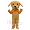 Dog mascot costume