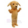 Dog mascot costume