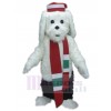 Dog mascot costume