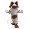 Dog mascot costume