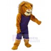 Lion mascot costume