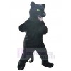 Panther mascot costume