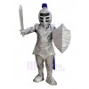 Knight mascot costume