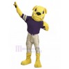 dog mascot costume