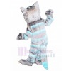 cat mascot costume