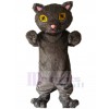 cat mascot costume