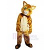 cat mascot costume