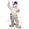 cat mascot costume