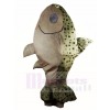 Salmon Fish Mascot Costumes Sea Ocean