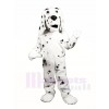 Dalmatian Dog Mascot Costumes Animal