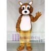 Adult Squirrel Mascot Costume with White Belly