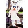 Peter Rabbit Bunny Mascot Costume