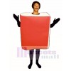 Book Mascot Costume