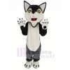 Cute Gray Wolf Mascot Costume Animal