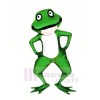 Realistic Green Frog Mascot Costumes Cartoon