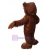 Bear mascot costume