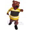 Bear mascot costume