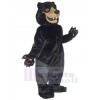 Bear mascot costume