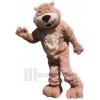 Bear mascot costume