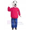 Bear mascot costume