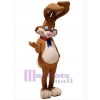 Easter Bunny Rabbit mascot costume